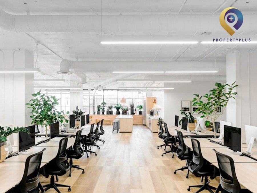 Elite Đường số 33